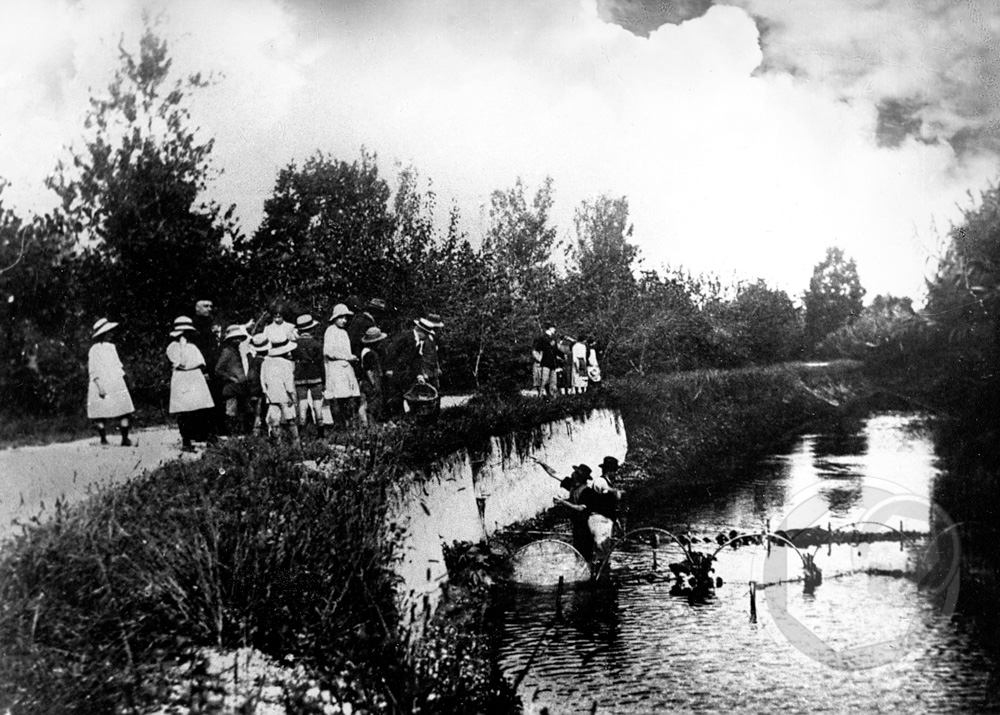 tempore 1900 pacchioni 02240908